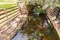 Pond with ornamental fish in Gan Guru kangaroo park in Kibutz Nir David in the north of Israel