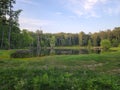 Pond in Ouachita National Forest, Arkansas in Summer