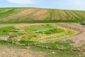 Pond overgrown with mud in the field Royalty Free Stock Photo