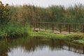 Pond in Pantanos de Villa Chorrillos Lima Peru