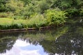 Pond in the Park Big Tiergarten in Spring, Berlin Royalty Free Stock Photo
