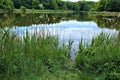 Pond in the park, city park, forest water Royalty Free Stock Photo