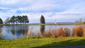 Pond in a Park Next to River