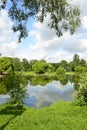 Pond in the Park