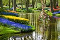 Pond in park in spring