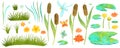 Pond plants watercoolor illustration with reeds, water lilies and grass clipart.