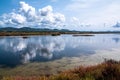 Sardinia. Natural environment. Coastal backdunal pond of Porto Botte in the Sulcis region. Shrubs of glasswort in saline water