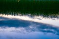 Pond reflecting reeds in calm water at dusk Royalty Free Stock Photo