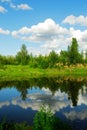 Pond reflection