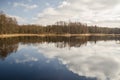 Pond with reflection on a sunny spring day Royalty Free Stock Photo
