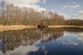 Pond with reflection on a sunny spring day Royalty Free Stock Photo