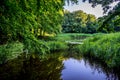 Pond with a reflection of trees in it in Haagse Bos, forest in The Hague Royalty Free Stock Photo