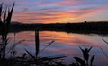 Pond Reflections at Dusk in Clark County Wetlands Park, Las Vegas, Nevada Royalty Free Stock Photo