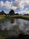 Pond with reflections Royalty Free Stock Photo