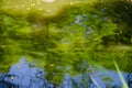 Pond ripples green reflection close up