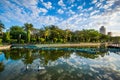 A pond at Rizal Park, in Ermita, Manila, The Philippines. Royalty Free Stock Photo