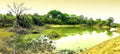Pond of saline water known as Salinas do Pantanal.