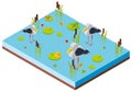 Pond scene with birds in 3D design