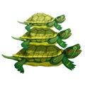 Pond slider microcosm of the world three turtle green smiling