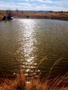 Pond in Sonoita Az Royalty Free Stock Photo