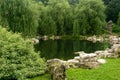 pond with stone banks and willows in a Chinese garden Royalty Free Stock Photo