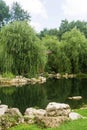 pond with stone banks and willows in a Chinese garden Royalty Free Stock Photo
