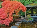 Pond with stone steps in a colorful autumn park