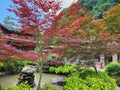 A pond surrounded by beautiful trees and plants in the middle of nature