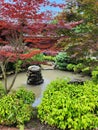 A pond surrounded by beautiful trees and plants in the middle of nature