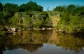 Pond surrounded by rocks and greenery