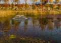 Pond surrounded by tall reeds and trees in fall colors Royalty Free Stock Photo