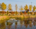 Pond surrounded by tall reeds and trees in fall colors Royalty Free Stock Photo