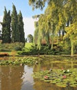 The pond surrounded by trees