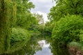 Pond surrounded by trees