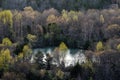 Pond surrounded by trees during sunrise