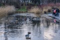 Pond in Szczesliwicki park in Warsaw, Poland