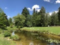 Pond or Teich - Botanical Garden of the University of Zurich or Botanischer Garten der Universitaet Zuerich Royalty Free Stock Photo