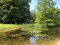 Pond or Teich - Botanical Garden of the University of Zurich or Botanischer Garten der Universitaet Zuerich