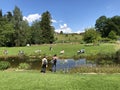 Pond or Teich - Botanical Garden of the University of Zurich or Botanischer Garten der Universitaet Zuerich