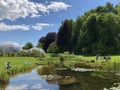 Pond or Teich and Tropenhaus - Botanical Garden of the University of Zurich or Botanischer Garten der Universitaet Zuerich