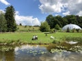 Pond or Teich and Tropenhaus - Botanical Garden of the University of Zurich or Botanischer Garten der Universitaet Zuerich