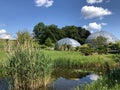 Pond or Teich and Tropenhaus - Botanical Garden of the University of Zurich or Botanischer Garten der Universitaet Zuerich Royalty Free Stock Photo