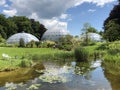 Pond or Teich and Tropenhaus - Botanical Garden of the University of Zurich or Botanischer Garten der Universitaet Zuerich Royalty Free Stock Photo