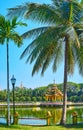 The lush palm tree in Theingottara park, Yangon, Myanmar