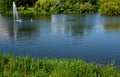 Pond there is a fountain which casts sight using a nozzle for a great height. the water will oxygenate and help the fish survive t Royalty Free Stock Photo