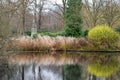 Pond at Tiergarten, Berlin Royalty Free Stock Photo