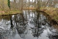 Pond at Tiergarten, Berlin Royalty Free Stock Photo