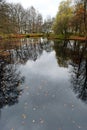 Pond at Tiergarten, Berlin Royalty Free Stock Photo