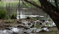 Nature trail leads to pond