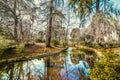 Pond and trees in Buen Retiro park in Madrid